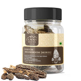 Gucchi Mushroom - Jammunuts