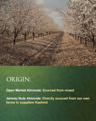 Local Kashmiri Almonds
