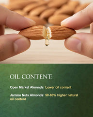 Local Kashmiri Almonds