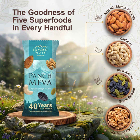 Jammu Nuts Panchmeva On-the-Go
