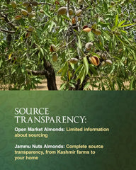 Local Kashmiri Almonds