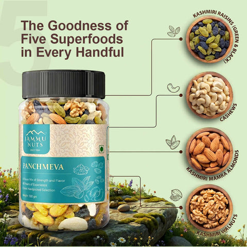 Panchmeva – Premium Dry Fruits Mix