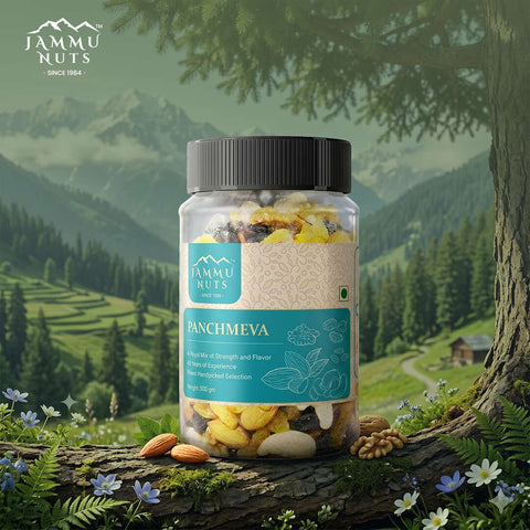 Panchmeva – Premium Dry Fruits Mix