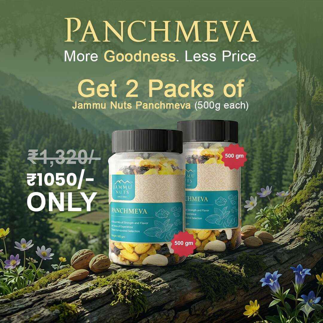 Panchmeva – Premium Dry Fruits Mix