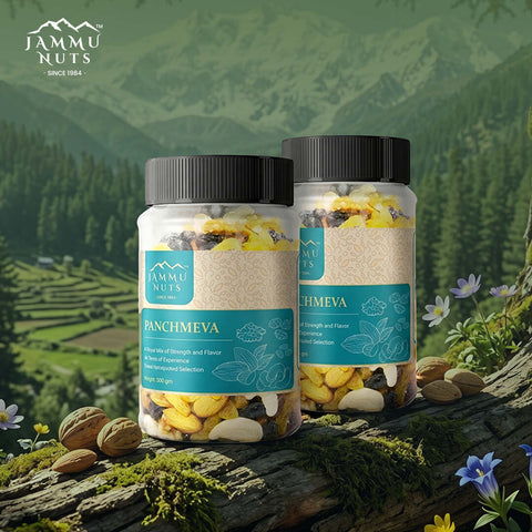 Panchmeva – Premium Dry Fruits Mix