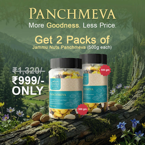 Panchmeva – Premium Dry Fruits Mix