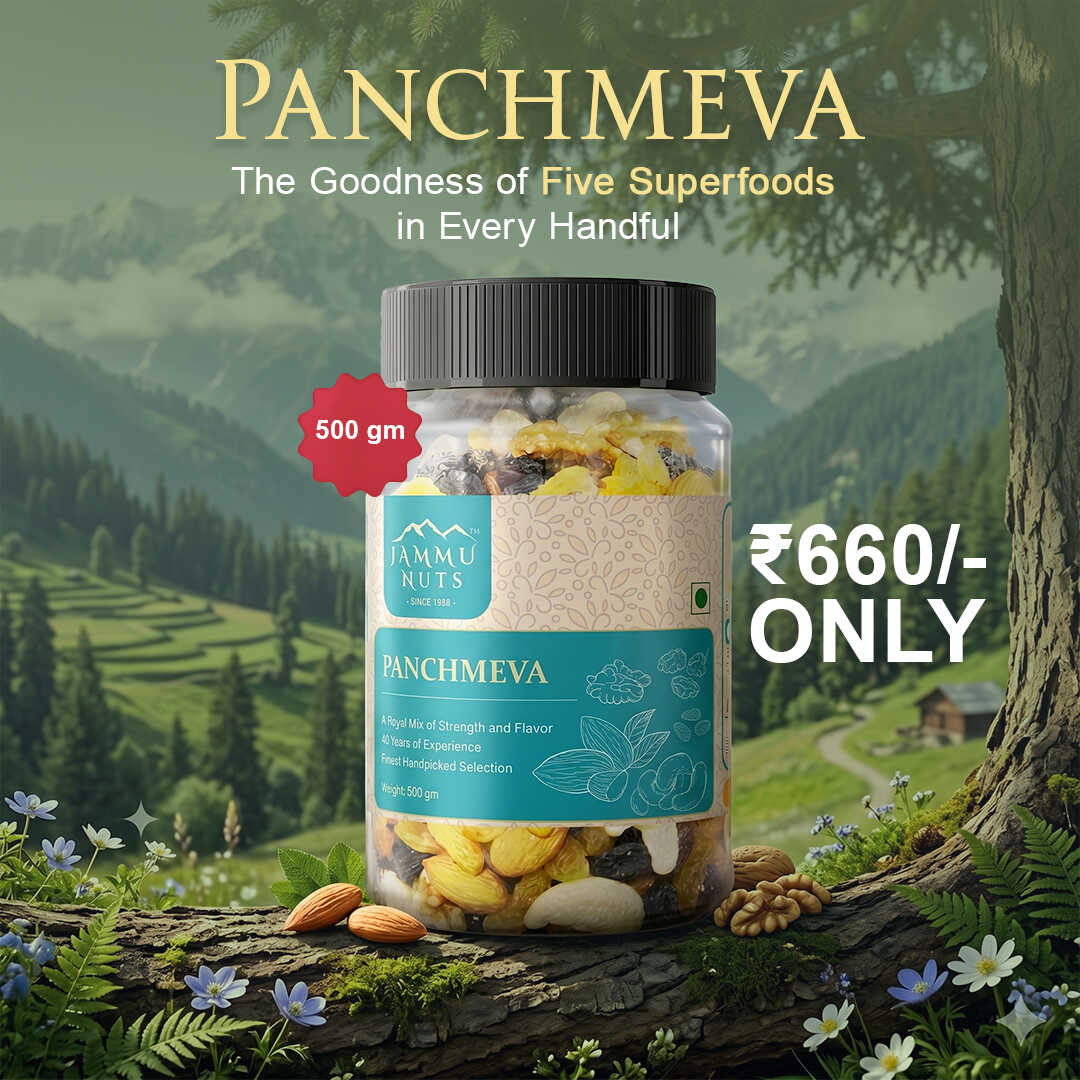 Panchmeva – Premium Dry Fruits Mix