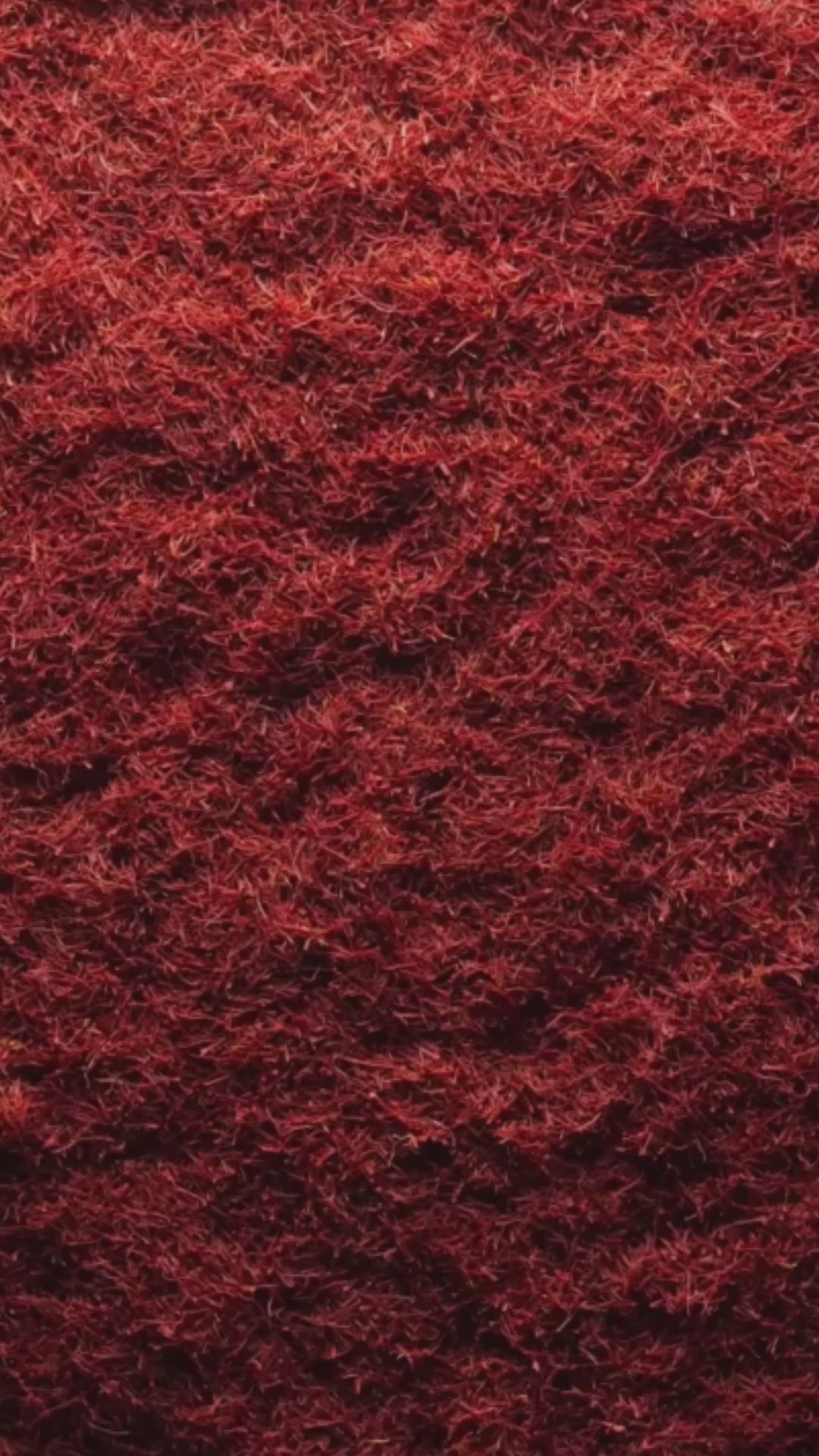 Premium Saffron