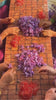 Premium Saffron