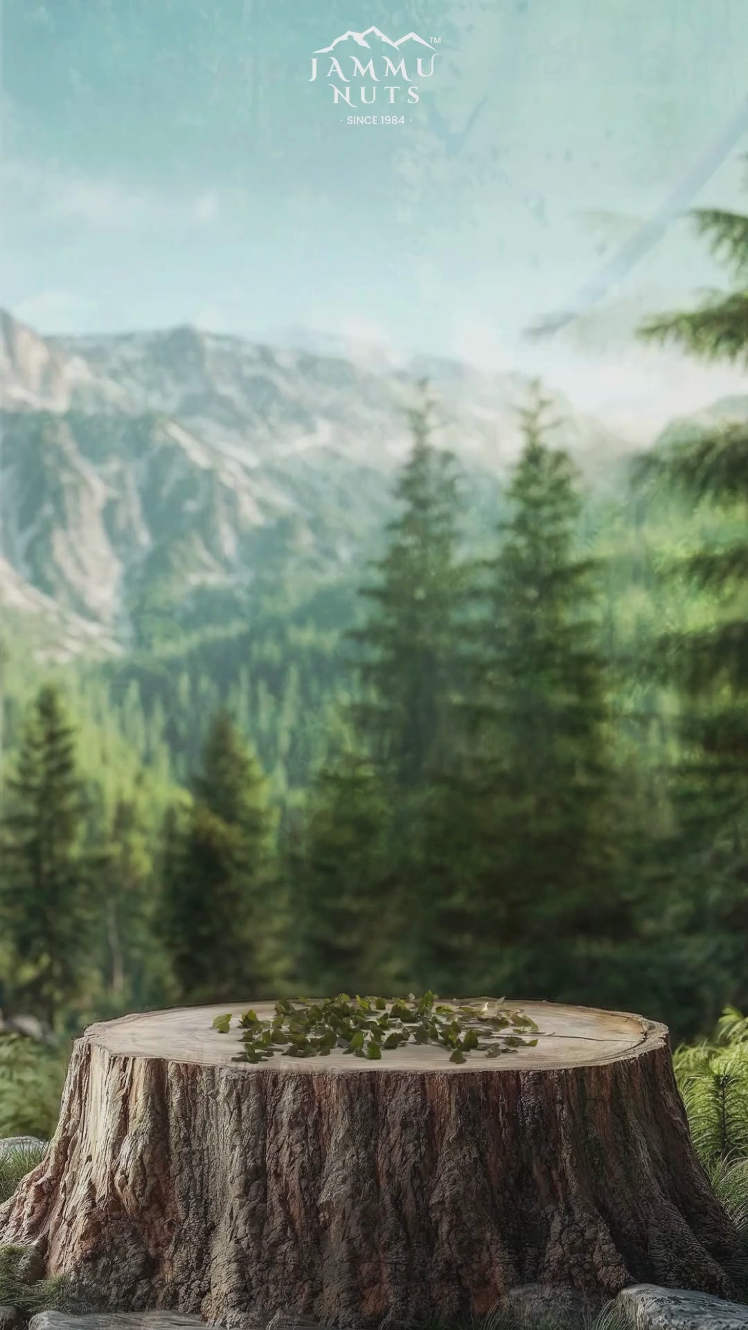 Kashmiri Almond & Walnut Kernel Combo Deal (500gm + 500gm)